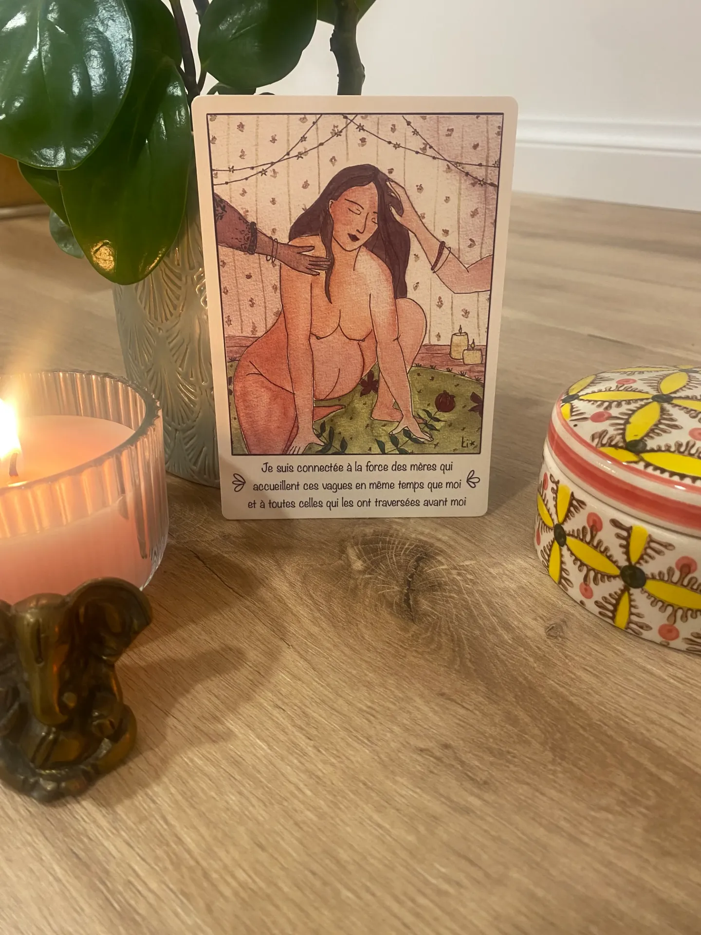 carte d'intention n7 wild mama