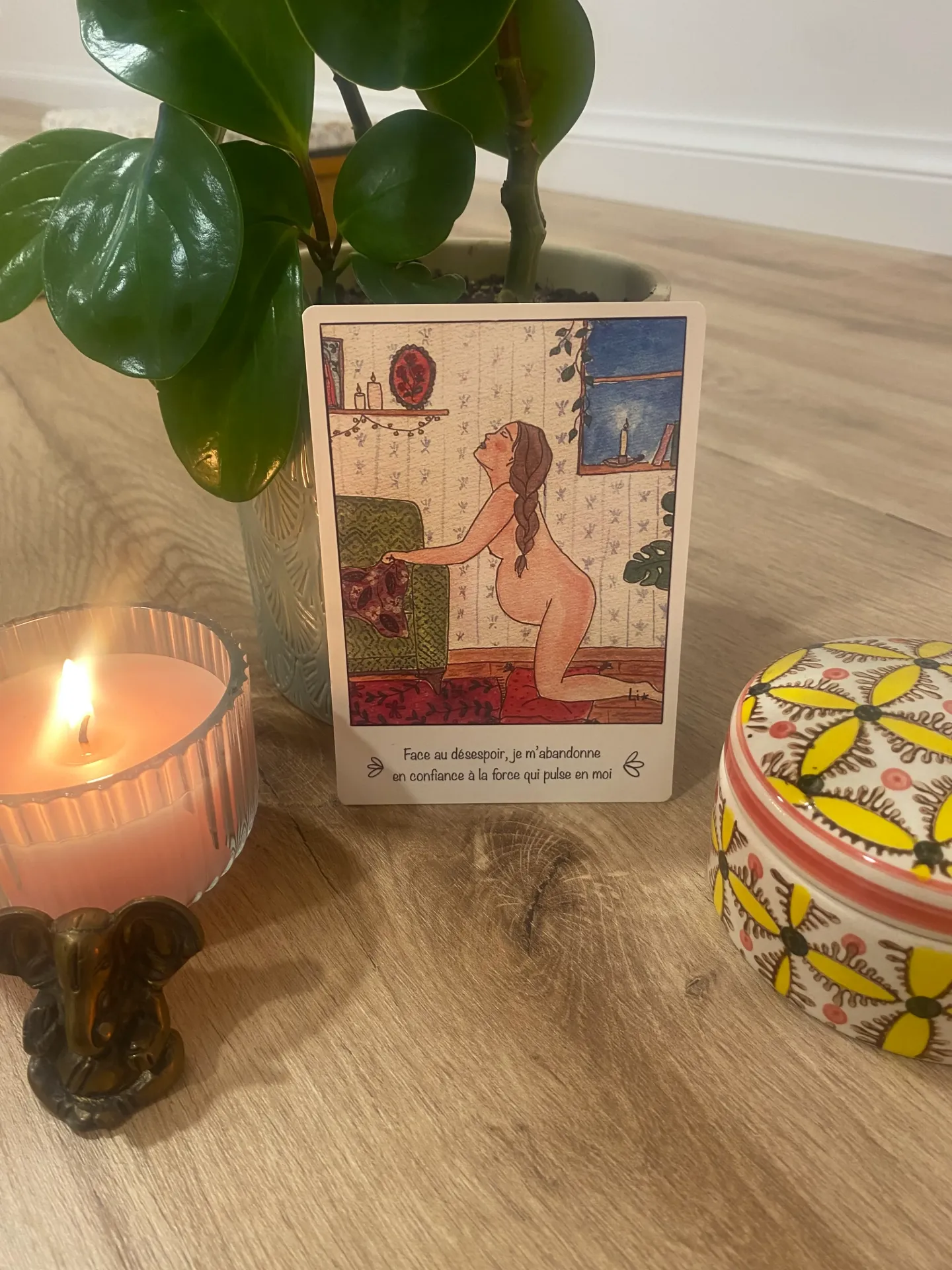 carte d'intention n8 wild mama