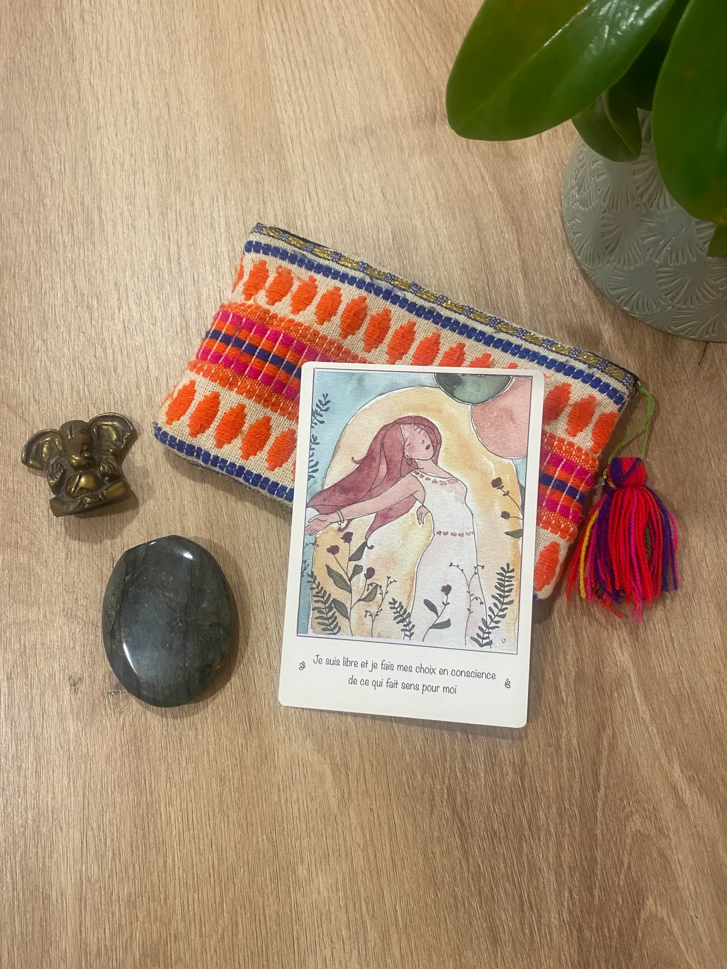 carte d'intention n1 sauvage