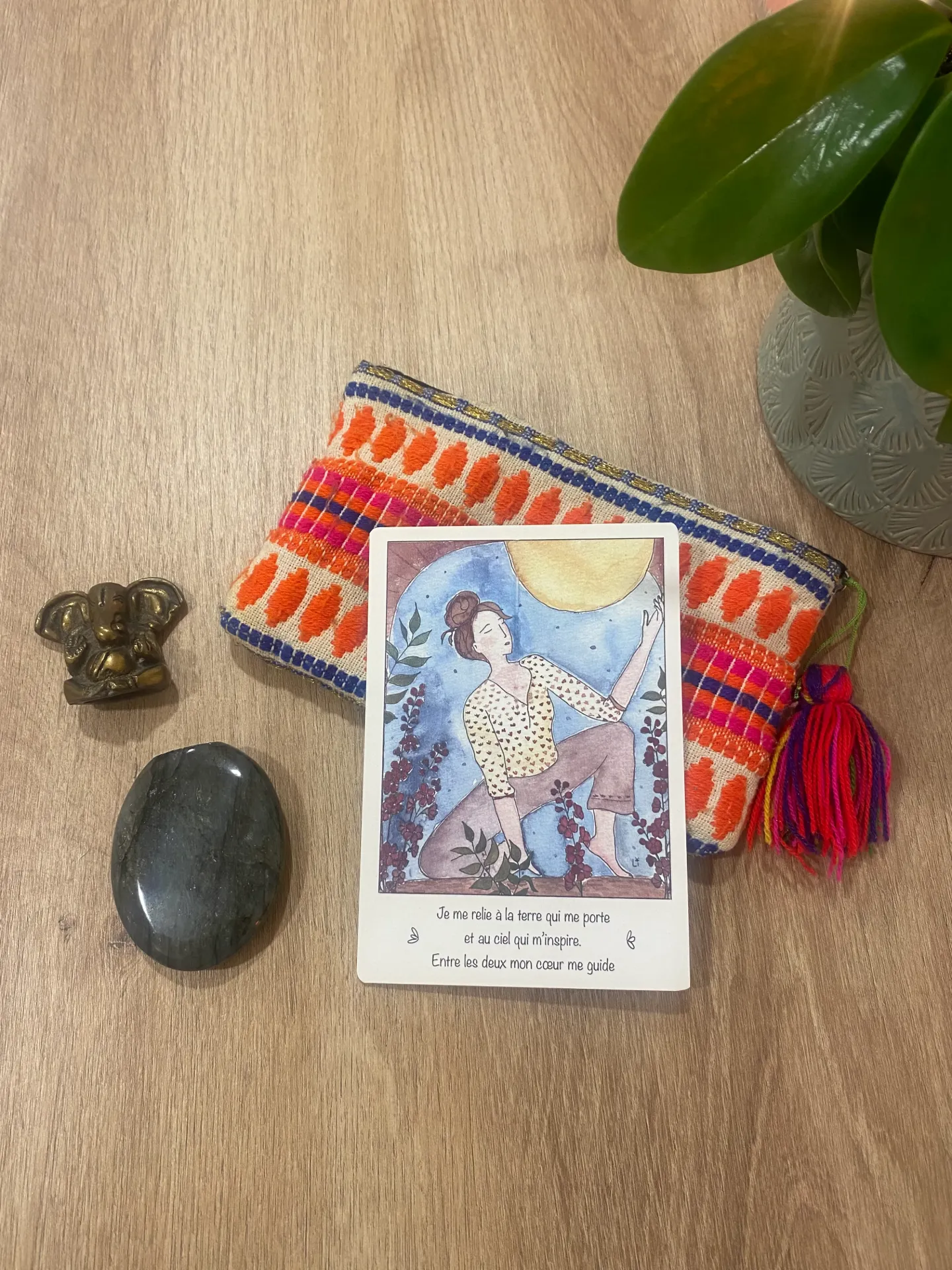 carte d'intention n2 sauvage