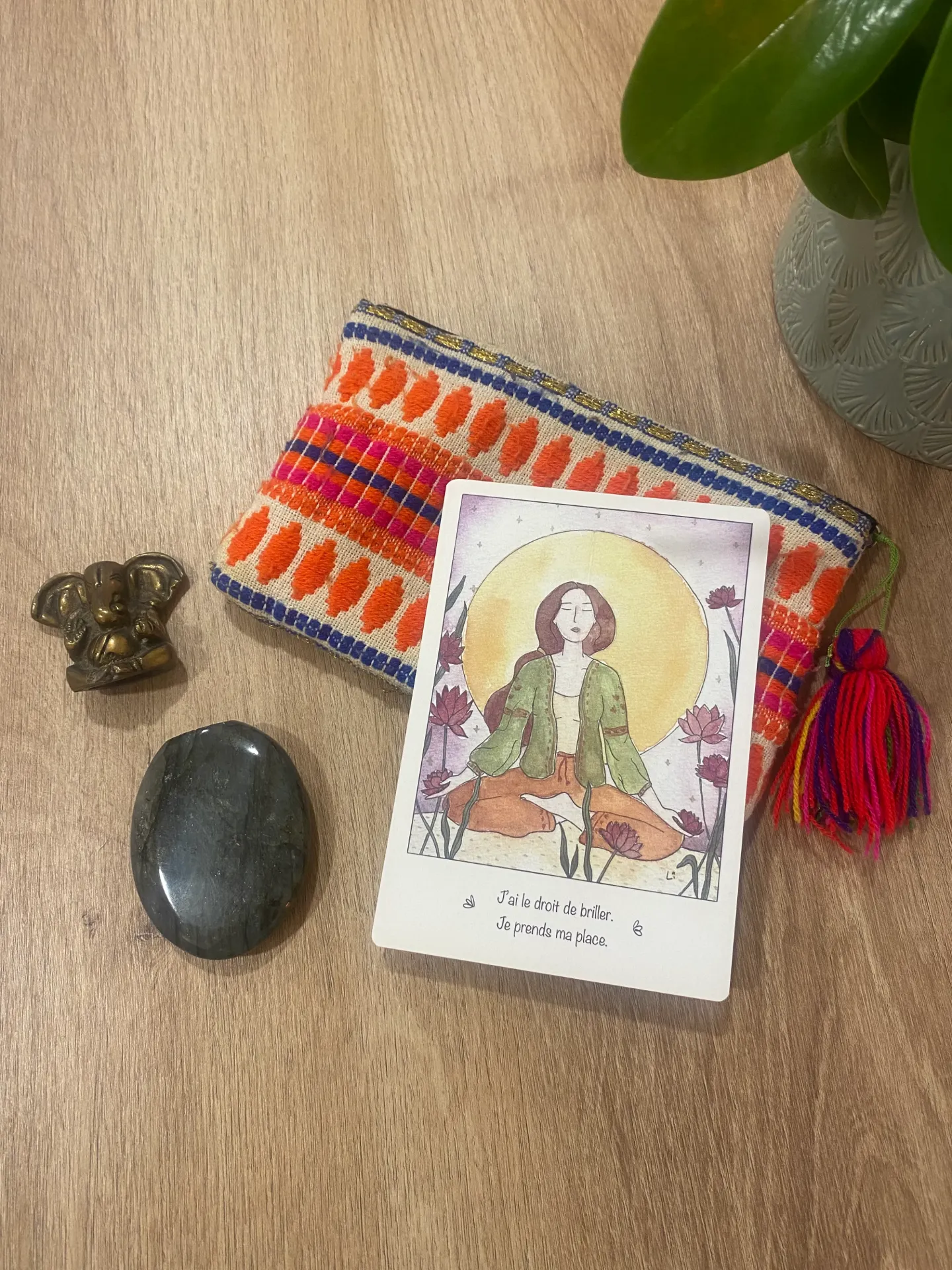 carte d'intention n3 sauvage