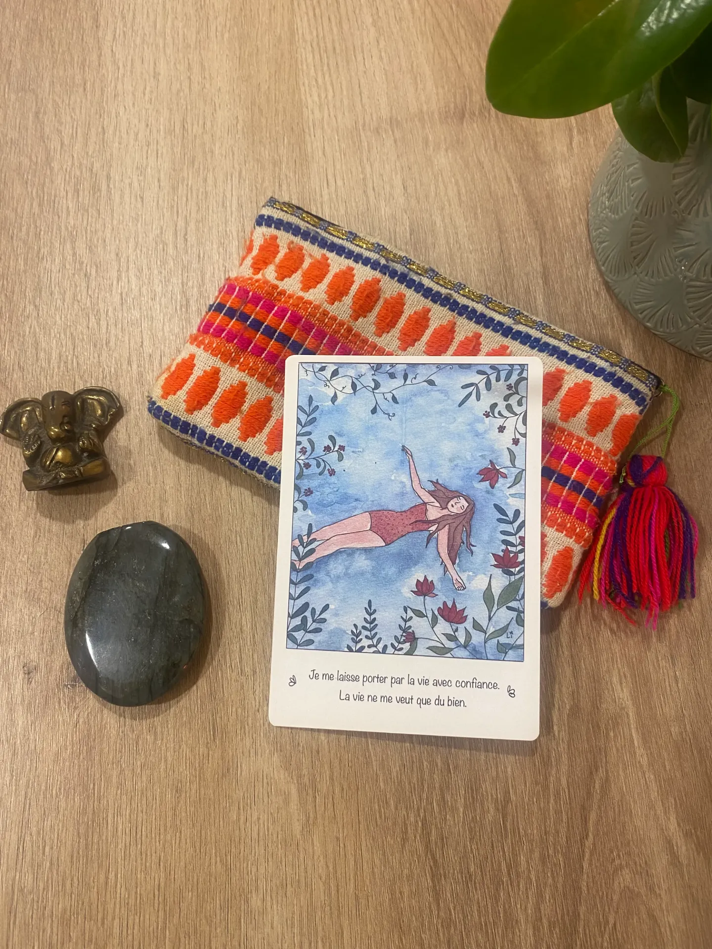 carte d'intention n5 sauvage