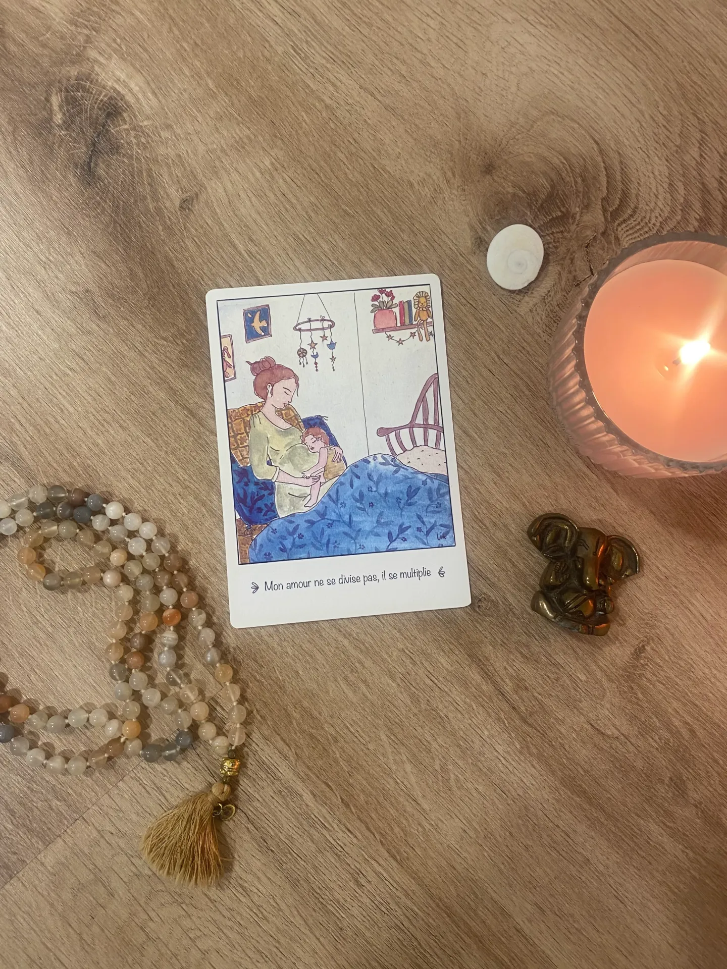 carte d'intention n3 wild mama