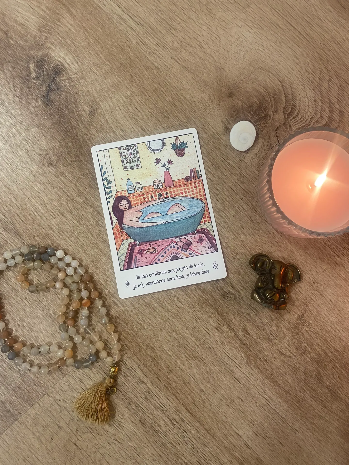 carte d'intention n4 wild mama