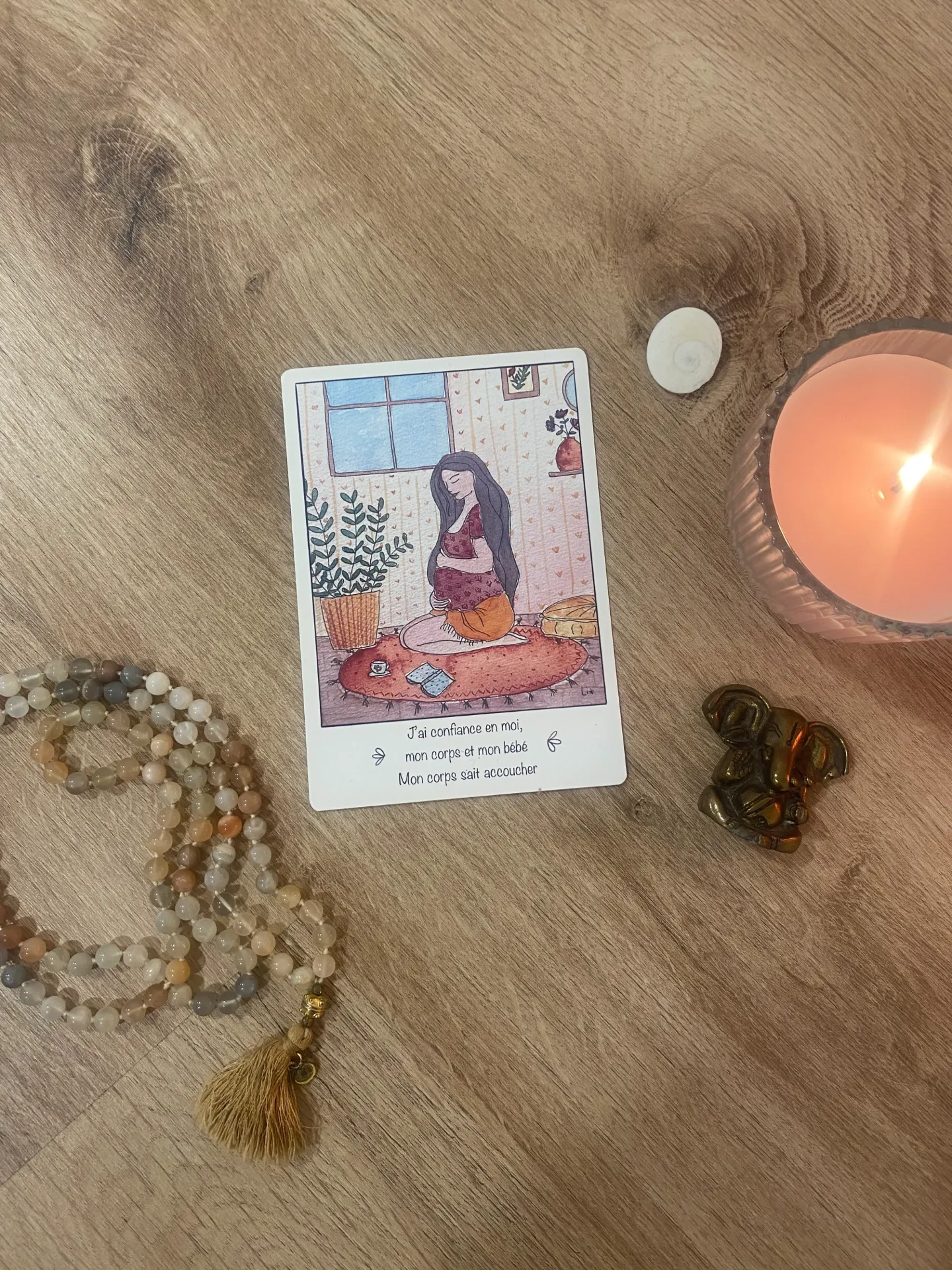 carte d'intention n5 wild mama